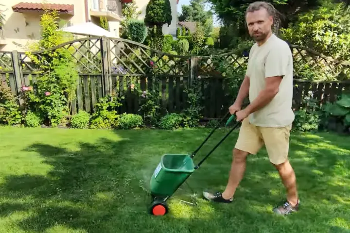 Mężczyzna z dredami pokazuje, jak ustawić siewnik do trawy, rozsypując nawóz na trawniku.