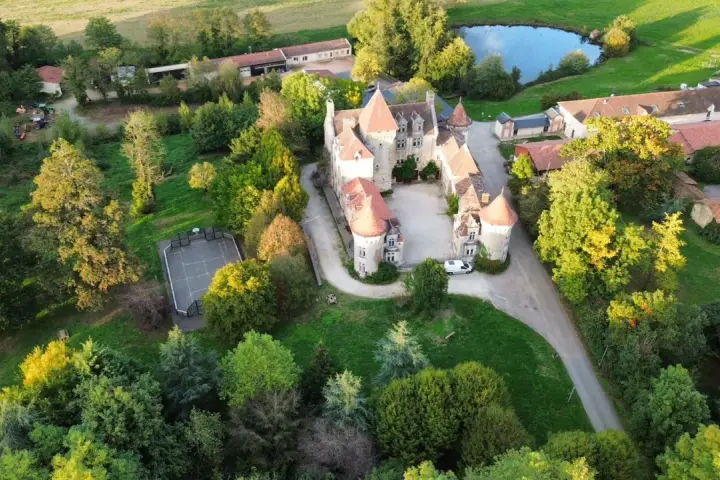 Vue aérienne d'un château entouré d'arbres, avec un étang et un terrain de sport.