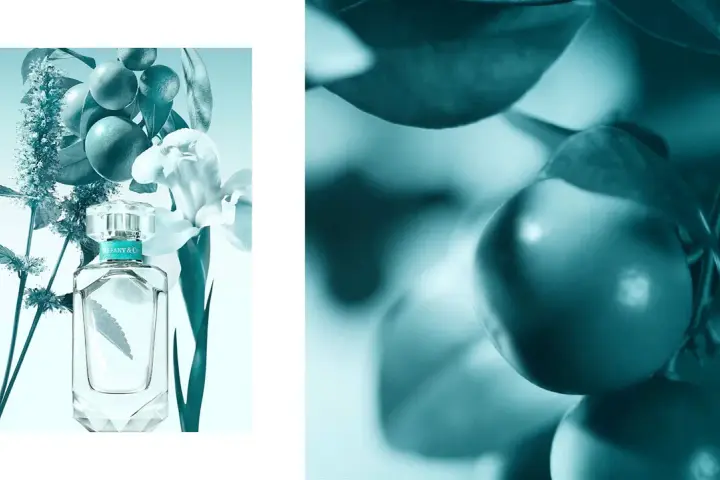 Tiffany und Co Parfum bei Müller: Finde deinen perfekten Duft