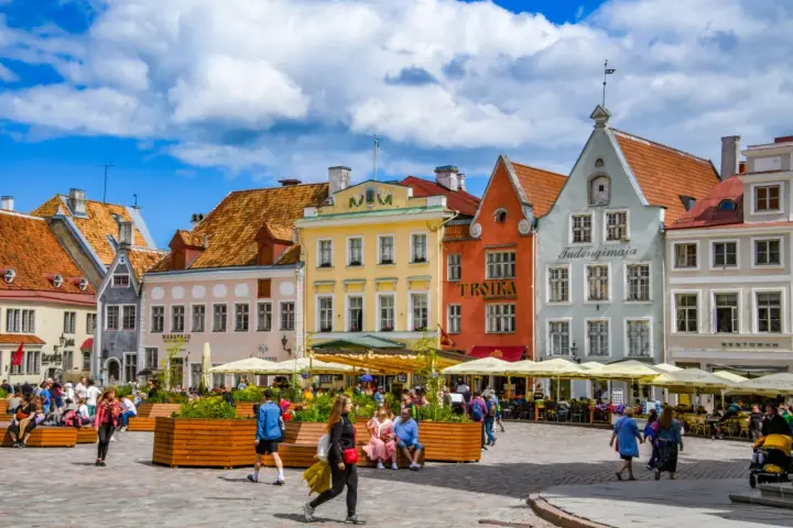 Kolorowe kamienice na placu w Tallinie, stare miasto tętni życiem. Ludzie spacerują, siedzą w kawiarniach pod żółtymi parasolami.