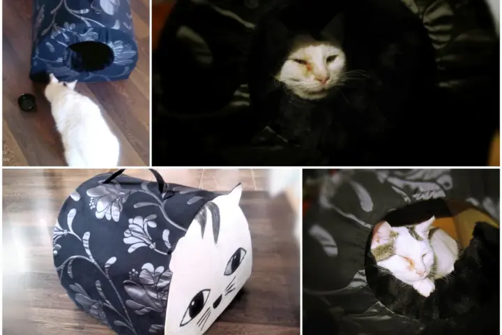 Jak zbudować domek dla kota? DIY: ciepły azyl krok po kroku