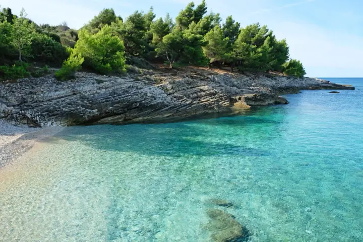 Kamienista plaża i turkusowa woda w Medulin Chorwacja. Skaliste wybrzeże porośnięte sosnami.