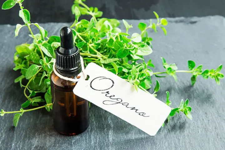 Frasco de aceite de orégano con ramitas frescas de la hierba. La etiqueta blanca dice "Oregano".
