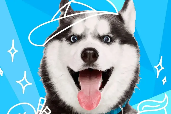 Uśmiechnięty husky w czapce z daszkiem. Ta rasa psa na e jest gotowa na przygodę, z niebieskimi oczami i wystawionym językiem.