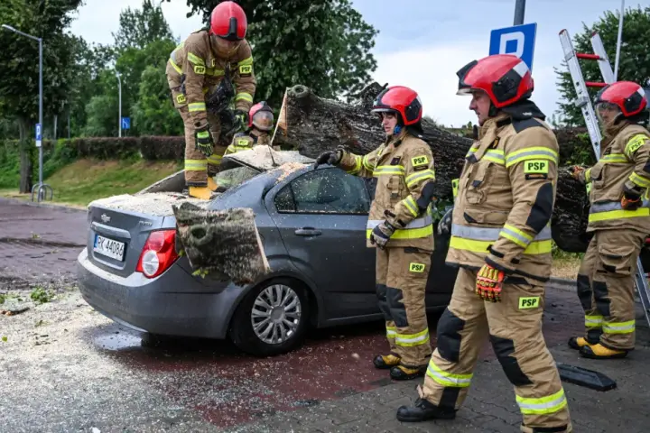 Policja, pogotowie i straż pożarna - jakie mają zadania w Polsce?
