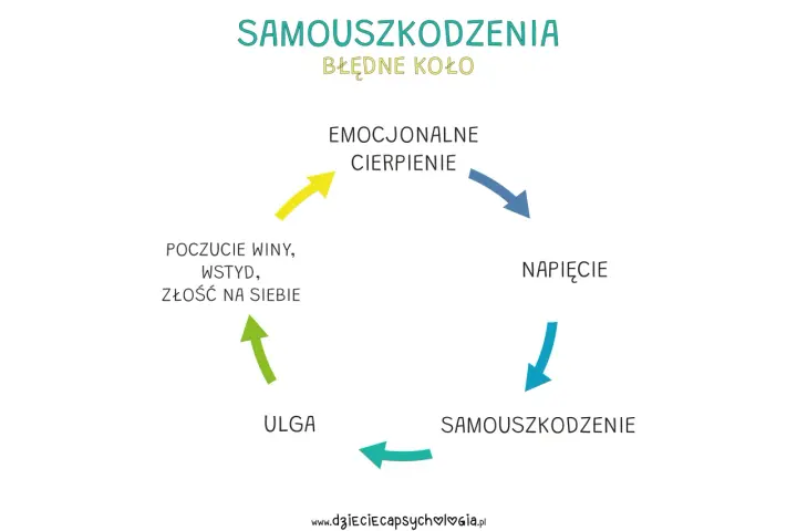 Błędne koło samouszkodzeń: cierpienie emocjonalne prowadzi do napięcia, które próbuje się rozładować samouszkodzeniem, dając chwilową ulgę, ale wracając do poczucia winy i wstydu.
