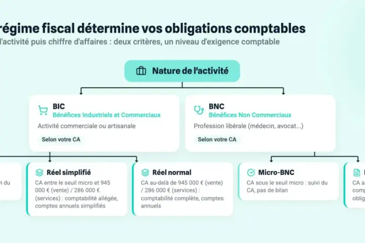 Schéma expliquant les régimes fiscaux selon la nature d'activité (BIC, BNC) et le seuil micro pour un avocat.