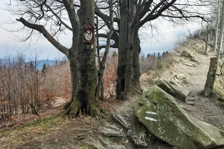 Kapliczka na drzewie przy kamienistym szlaku górskim.
