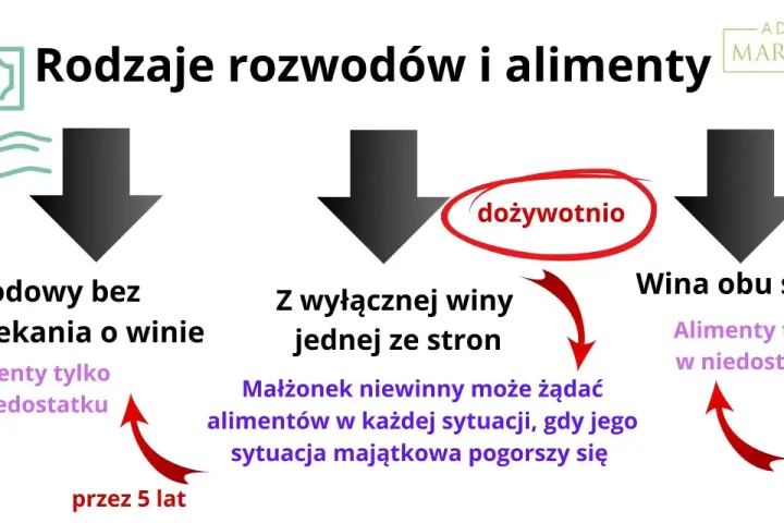 Rodzaje rozwodów i alimenty: ugodowy (w niedostatku, przez 5 lat), z wyłącznej winy (dożywotnio lub w niedostatku), wina obu stron (w niedostatku, przez 5 lat).