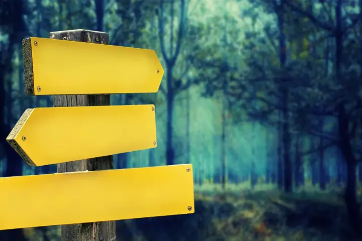 Panneau de signalisation jaune vide dans une forêt sombre.