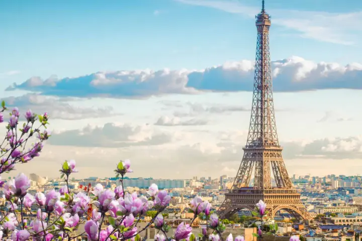 Eiffelturm in Paris, umgeben von blühenden Magnolien. Ein Muss, was man in Paris gesehen haben muss, besonders im Frühling.