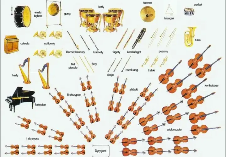 Orkiestra smyczkowa jakie instrumenty? Poznaj skład i ich rolę