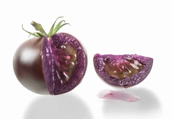 Un pomodoro viola, tagliato a metà, rivela la sua polpa succosa e un'insolita fetta con gocce di succo viola.