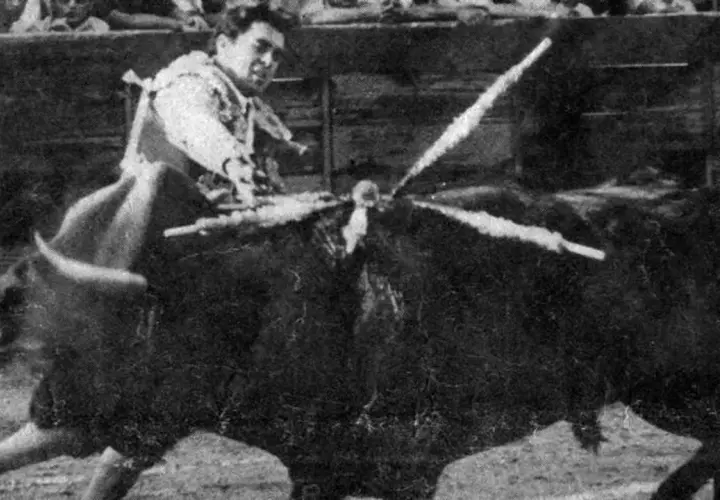 El toro que mató a Paquirri, en la plaza, con las banderillas clavadas.