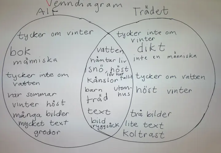 Venn-diagram som jämför Alf och Trädet. Alf gillar vinter, böcker och människor. Trädet gillar inte vinter, men tycker om vatten och höst. I mitten finns saker som kan dikt vara, som snö, känslor och barn.