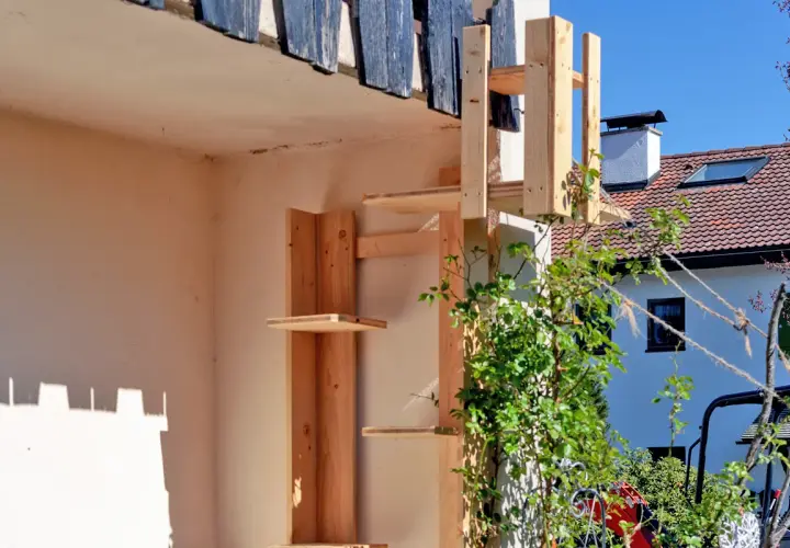 Selbstgebaute katzentreppe aus Holz, die an einer Hauswand befestigt ist. Mehrere Ebenen laden zum Klettern ein.
