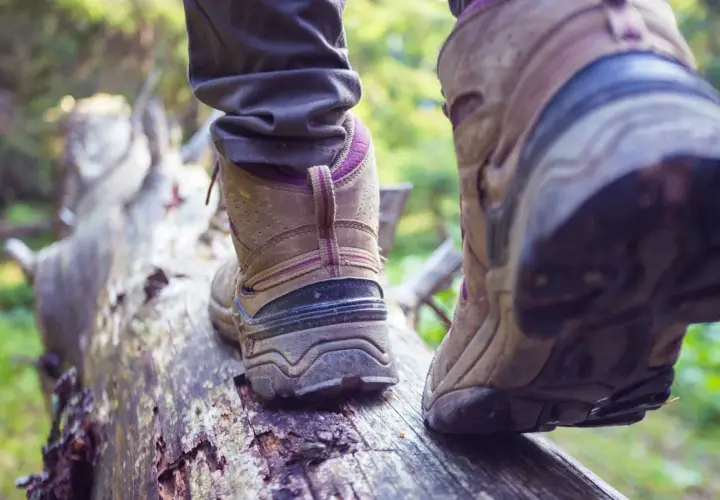 Osoba w butach trekkingowych stąpa po powalonym drzewie. Czy buty trekkingowe powinny być większe? Wygoda to podstawa na szlaku.