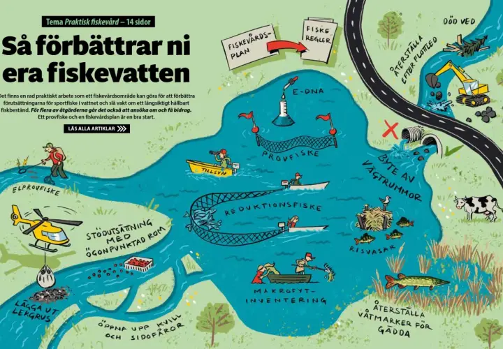Illustration visar hur man förbättrar bra fiskevatten genom åtgärder som provfiske, e-DNA, lekgrus och återställning av våtmarker.