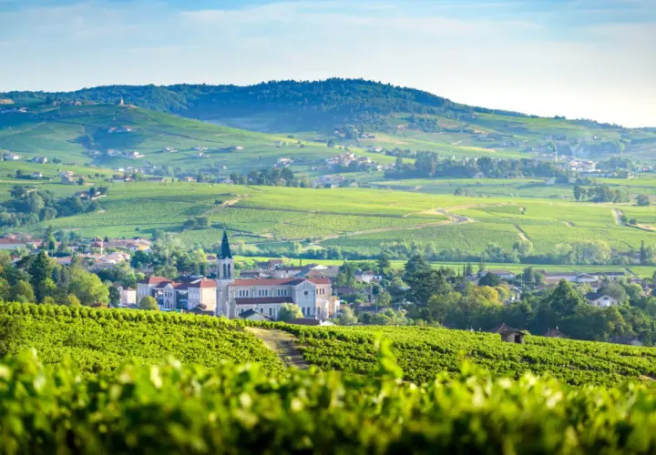 Paysage de vignobles verdoyants et de villages pittoresques, typique des plus beaux villages du Beaujolais.
