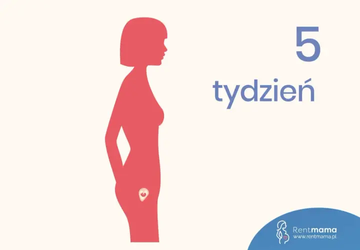 Sylwetka kobiety z zaznaczonym zarodkiem w łonie. Obok widnieje napis "5 tydzień".