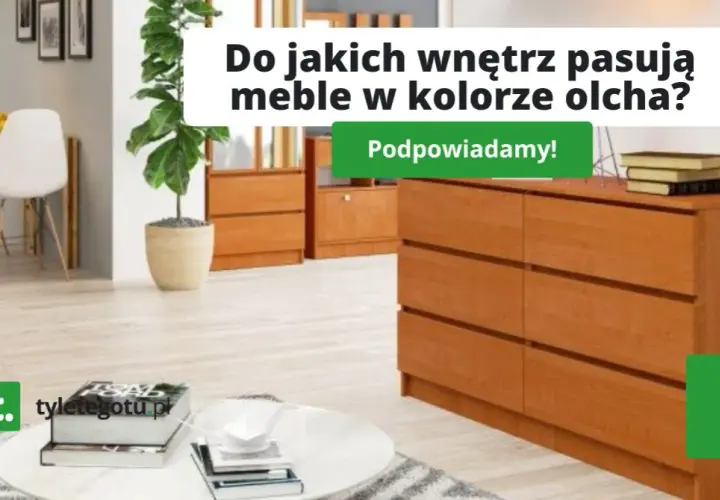 Olcha w salonie: Jak dobrać idealny kolor ścian? Poradnik