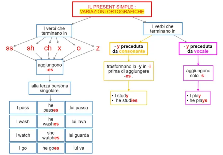 Schema sul present simple: verbi che finiscono in ss, sh, ch, x, o, z aggiungono -es. Verbi in -y preceduta da consonante cambiano -y in -i e aggiungono -es.