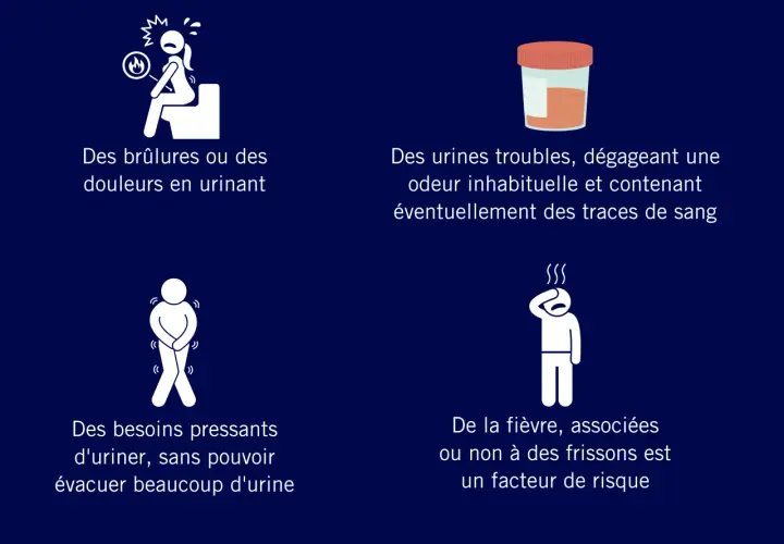 Symptômes d'infection urinaire : brûlures, urines troubles, odeur inhabituelle, besoin urgent d'uriner, fièvre. L'escherichia coli est une cause fréquente.