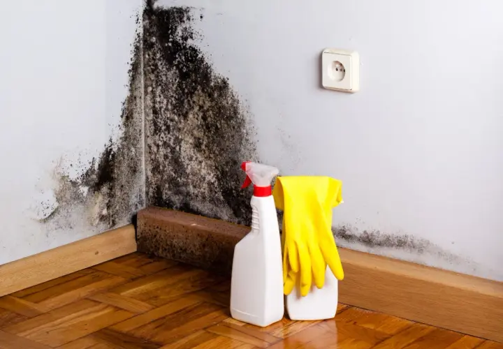 Angolo di una stanza con muffa nera sul muro. Accanto, prodotti per il trattamento antimuffa e guanti gialli.