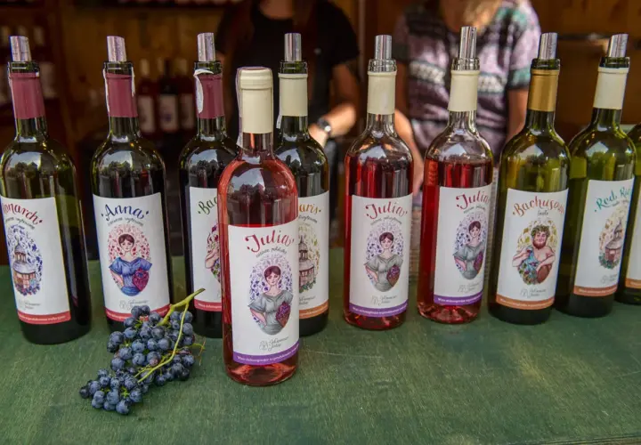 Gdzie kupić wino zielonogórskie? Odkryj najlepsze miejsca w regionie