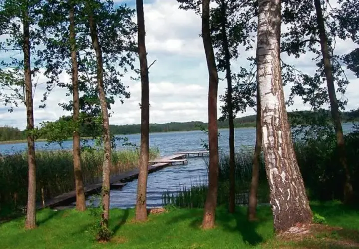 Działki nad jeziorem lubelskie - idealne miejsca na wypoczynek i inwestycje