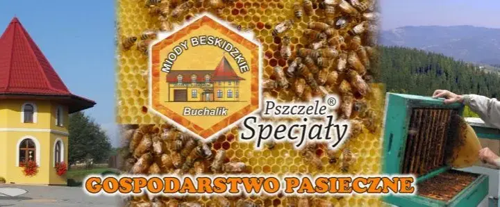 Ile kosztuje słoik miodu? Sprawdź ceny i różnice regionalne