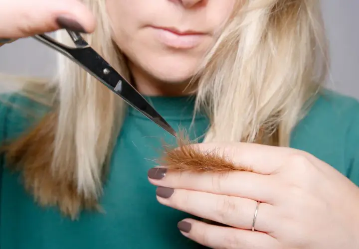 Kobieta z blond włosami podcina końcówki nożyczkami.