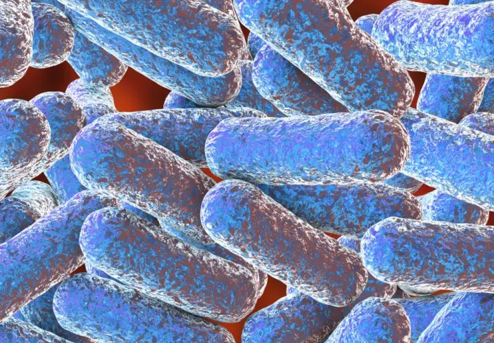 Morganella: 5 objawów infekcji i skuteczne metody leczenia