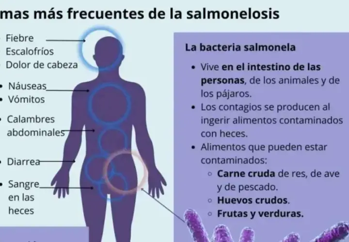 Síntomas de intoxicación alimentaria: ¿estás en riesgo? Identifícalos ya