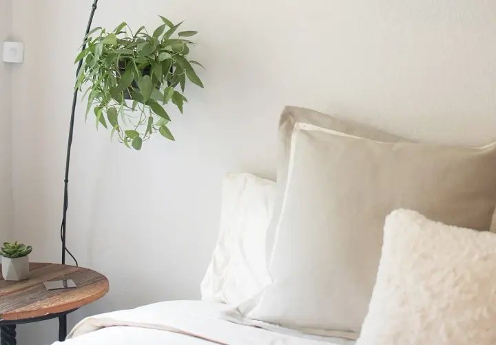 A cozy bedroom scene with a hanging plant, a bedside table, and plush pillows, including two shams, suggesting comfort and relaxation.