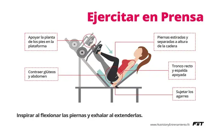 Todo lo que necesitas saber sobre la prensa gimnasio y sus beneficios