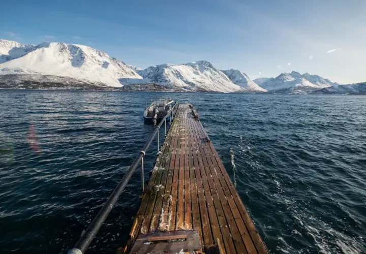Najlepsze atrakcje w Tromsø, które musisz zobaczyć podczas wizyty
