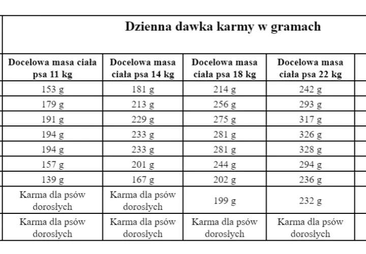 Ile karmy dla szczeniaka? Dawkowanie krok po kroku (wiek, waga)