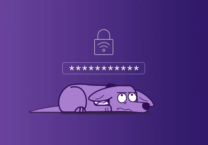 Smutny piesek leży pod polem wpisywania hasła do internetu.