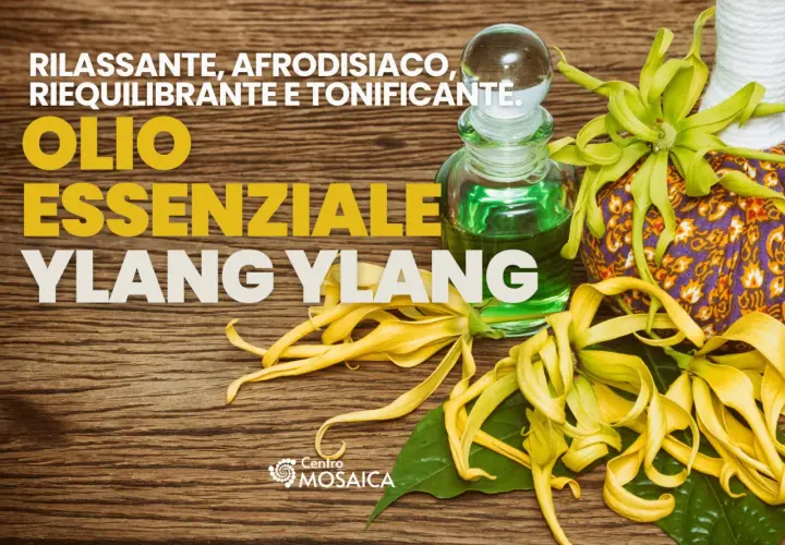 Olio essenziale Ylang Ylang: rilassante, afrodisiaco, riequilibrante e tonificante. Scopri le sue proprietà.