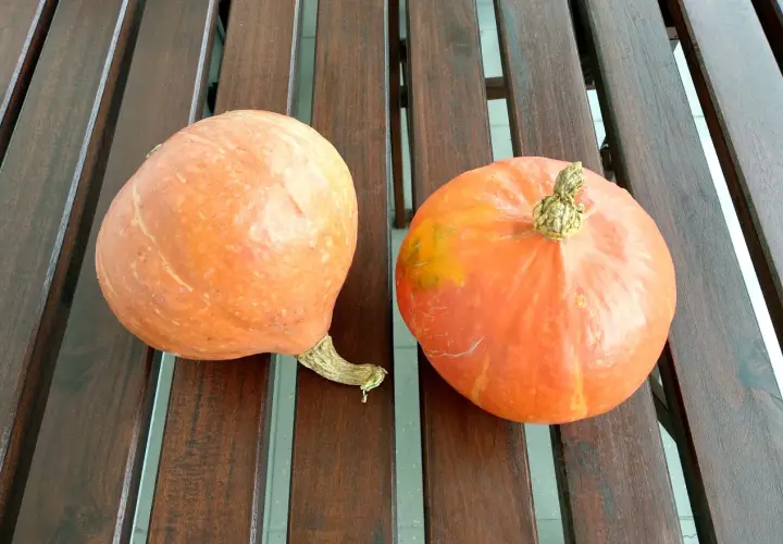 Dwie pomarańczowe dynie na drewnianym stole, idealne na puree z dyni dla niemowlaka.