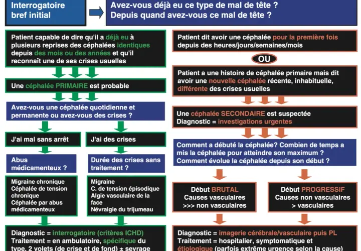 Algorithme de diagnostic des maux de tête, distinguant céphalées primaires et secondaires pour une prise en charge adaptée.
