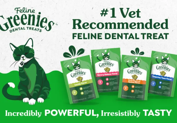 Greenies are good for cats! A green cat sits near bags of Feline Greenies dental treats in various flavors, advertised as #1 vet recommended.