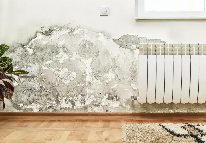 Grzyb i pleśń na ścianie obok grzejnika i gniazdka elektrycznego.
