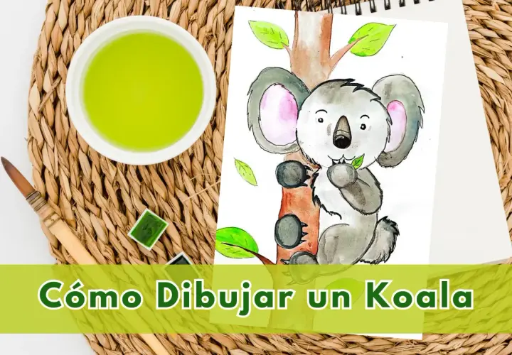 Tiernos dibujos de koalas en acuarela, listos para aprender a dibujarlos.