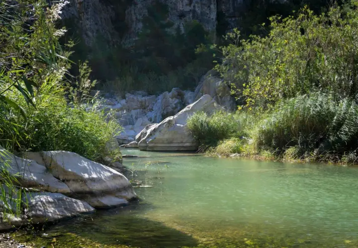 Aguas turquesas fluyen en la vía verde del Serpis, rodeadas de rocas y vegetación exuberante.