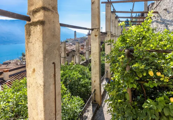 Vista dalla limonaia del castel, con alberi di agrumi e il lago sullo sfondo.