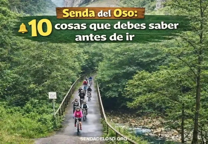 Grupo de ciclistas pedaleando en la Senda del Oso, un hermoso camino rodeado de exuberante vegetación y un río.