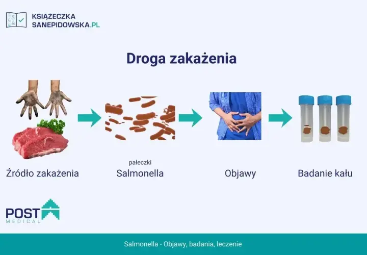 Droga zakażenia Salmonellą: od surowego mięsa, przez pałeczki, objawy bólu brzucha, po badanie kału.