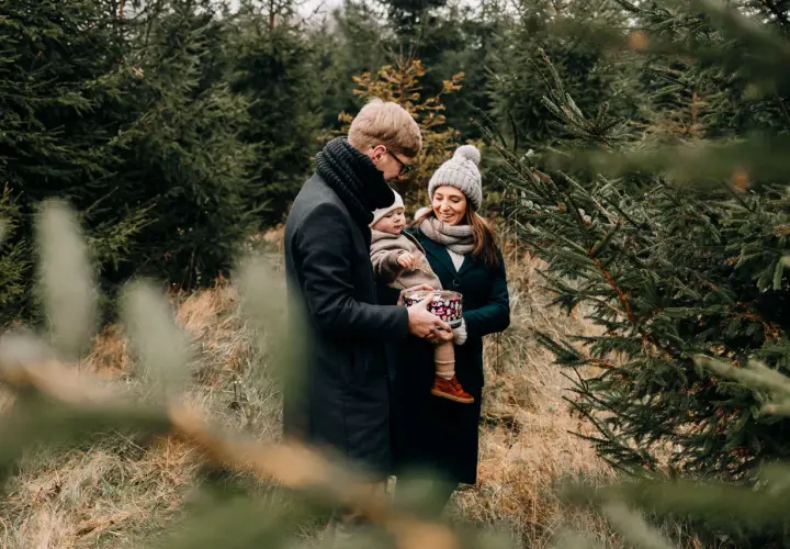 Rodzina podczas sesji świątecznej w plenerze, wśród choinek. Tata trzyma dziecko, mama uśmiecha się, trzymając ozdobne pudełko.